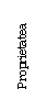 Text Box: Proprietatea