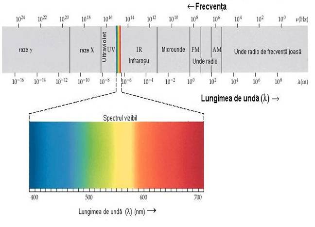 Imagine:Electromagnetic spectrum.jpg