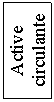 Text Box: Active circulante