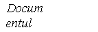 Text Box: Documentul	