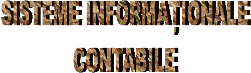 SISTEME INFORMATIONALE
CONTABILE