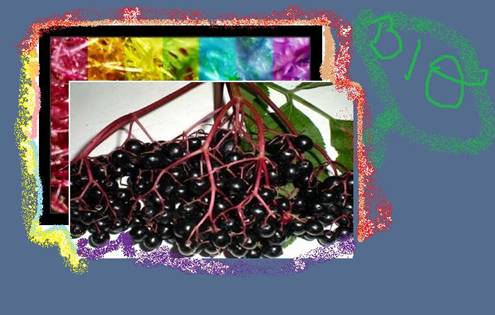 C:UsersCataDesktoppic bio.jpg