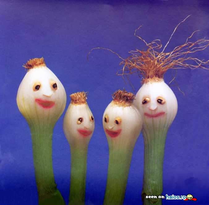 Vi-i prezint pe prietenii mei cei mai
buni, ceputele!