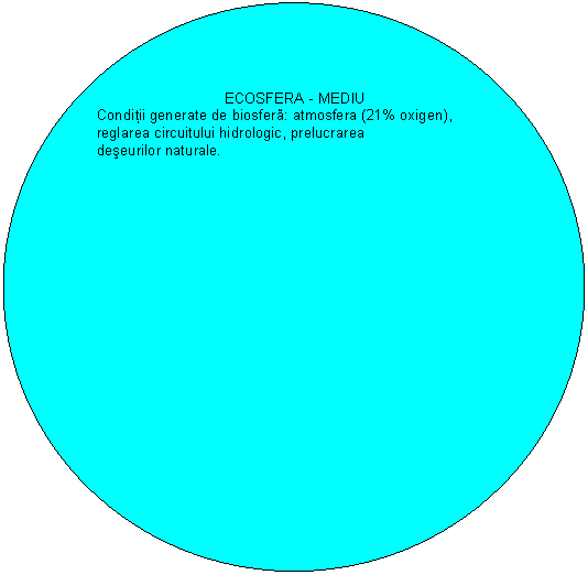 Oval: ECOSFERA - MEDIU
Conditii generate de biosfera: atmosfera (21% oxigen), reglarea circuitului hidrologic, prelucrarea
deseurilor naturale.
