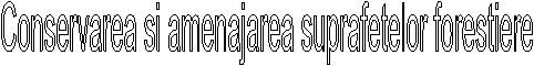 Conservarea si amenajarea suprafetelor forestiere
