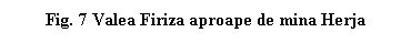 Text Box: Fig. 7 Valea Firiza aproape de mina Herja