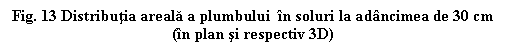 Text Box: Fig. 13 Distributia areala a plumbului in soluri la adancimea de 30 cm
(in plan si respectiv 3D)


 




