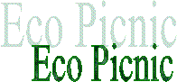 Eco Picnic