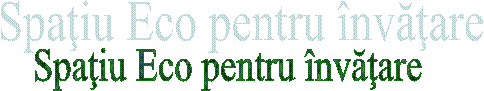 Spatiu Eco pentru invatare