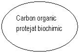 Oval: Carbon organic protejat biochimic