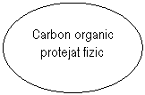 Oval: Carbon organic protejat fizic