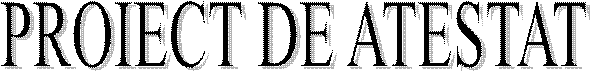PROIECT DE ATESTAT 