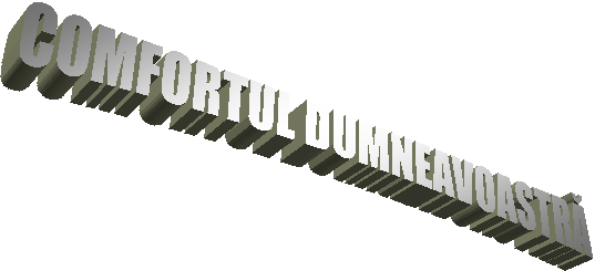COMFORTUL DUMNEAVOASTRA