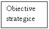Text Box: Obiective strategice