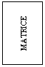 Text Box: MATRICE