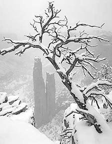 Spiderock-Snowstorm-b&w.jpg