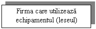 Text Box: Firma care utilizeaza echipamentul (leseul)