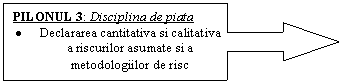 Right Arrow Callout: PILONUL 3: Disciplina de piata
 Declararea cantitativa si calitativa a riscurilor asumate si a metodologiilor de risc
