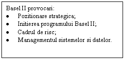 Text Box: Basel II provocari:
	Pozitionare strategica;
	Initierea programului Basel II;
	Cadrul de risc;
	Managementul sistemelor si datelor.
