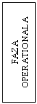 Text Box: FAZA OPERATIONALA