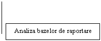 Line Callout 1: Analiza bazelor de raportare