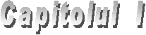 Capitolul  I