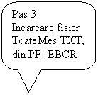 Rounded Rectangular Callout: Pas 3:
Incarcare fisier ToateMes.TXT,  din PF_EBCR
