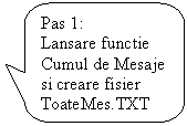Rounded Rectangular Callout: Pas 1:
Lansare functie Cumul de Mesaje si creare fisier ToateMes.TXT
