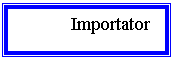 Text Box:       Importator