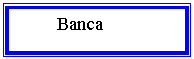 Text Box:    Banca exportator