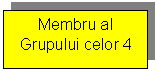 Text Box: Membru al Grupului celor 4