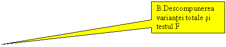 Rectangular Callout: B.Descompunerea variantei totale si testul F