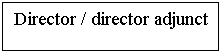 Text Box: Director / director adjunct