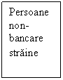 Text Box: Persoane non-bancare straine