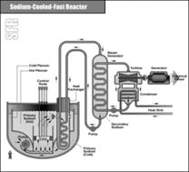 Sodium-Cooled Fast Reactor (SFR)