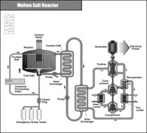 Molten salt reactor scheme.