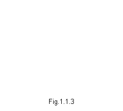 Text Box:     
      







Fig.1.1.3
