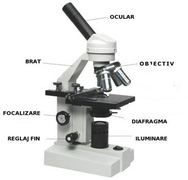 C:Documents and SettingsqDesktopmicroscopcompound parts.jpg