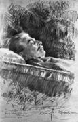 I. V. Stalin n cosciug - desen de I. Kravcenko