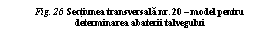 Text Box: Fig. 26  Sectiunea transversala nr. 20  model pentru determinarea abaterii talvegului