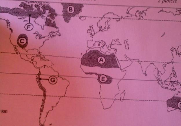 G:\Documents and Settings\florin\Local Settings\Temporary Internet Files\Content.Word\Fotografii-0393.jpg