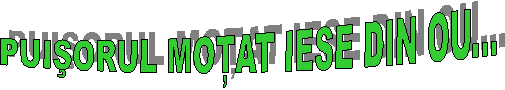 PUIsORUL MOŢAT IESE DIN OU...