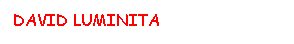 Text Box: DAVID LUMINITA