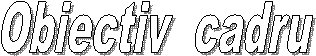 Obiectiv cadru