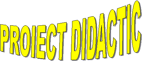 PROIECT DIDACTIC