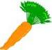 Carrot