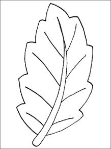 Coloriage pour enfant Automne