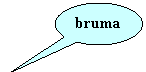 Oval Callout: bruma