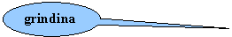 Oval Callout: grindina