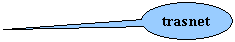 Oval Callout: trasnet